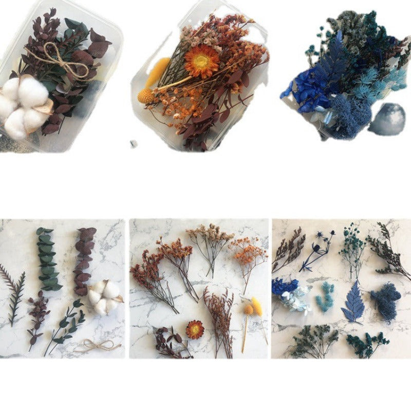 Wholesale Eternal Flower Baby's Breath Daisy Dried Flower Floating Flower Pressed Flower Kindergarten Handmade Flower Art Diy Filling Material